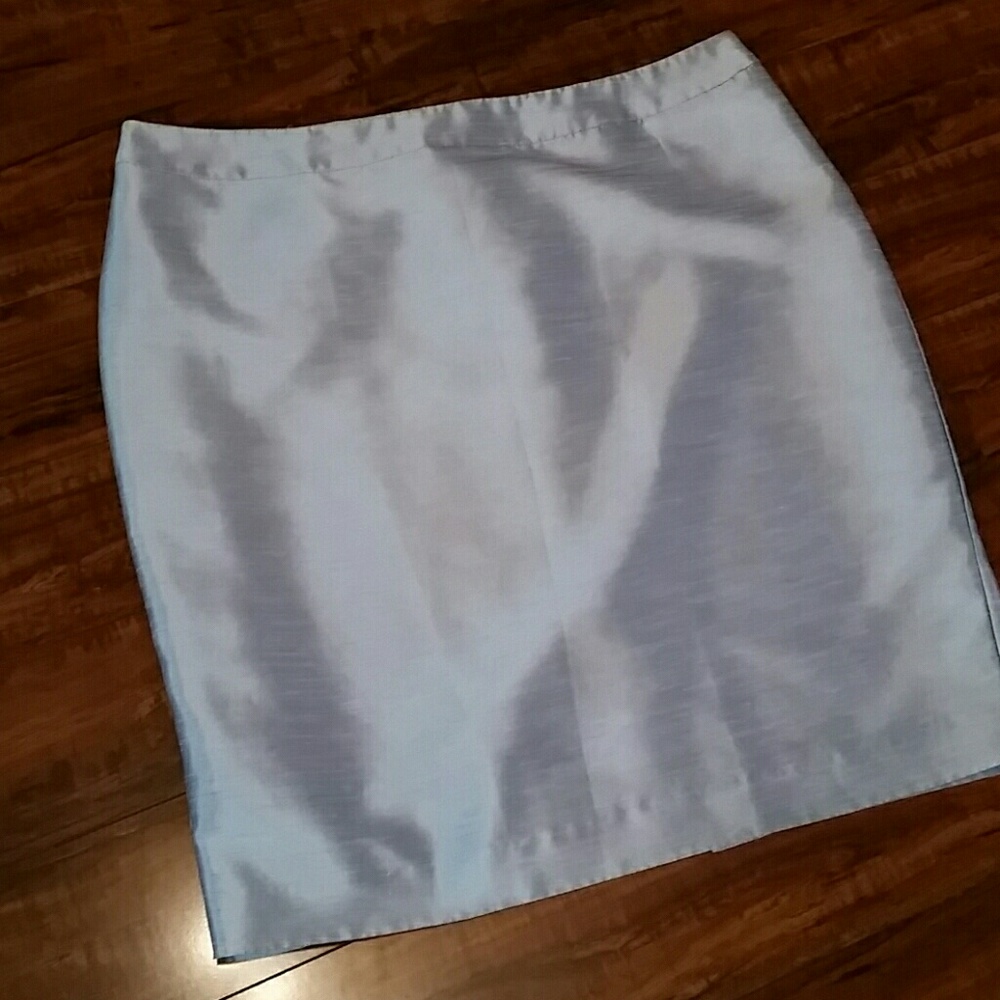 Shiny Silver Skirt